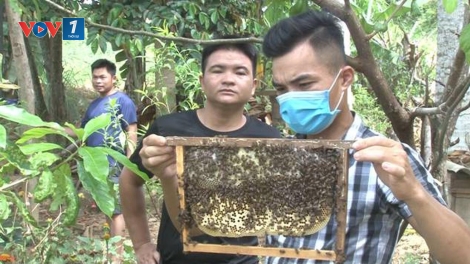 Theo dòng thời sự chiều 1/4/2025
