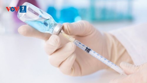 Tiêm vaccine, cách duy nhất để phòng tránh bệnh dại (24/04/2025)
