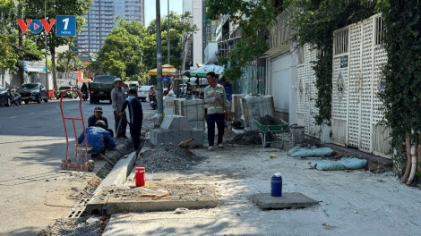 Giám đốc Sở GTCC TP.HCM lên tiếng việc chính trang vỉa hè ảnh hưởng đến cây xanh