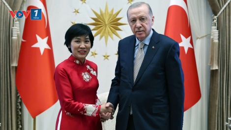 Đại sứ Việt Nam Đặng Thị Thu Hà trình Quốc thư  lên Tổng thống Recep Tayyip Erdoğan