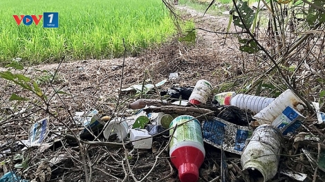 Hạn chế sử dụng thuốc trừ sâu tràn lan trong nông nghiệp (08/05/2025)