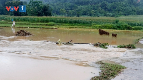 Mưa lớn diện rộng gây lũ trên toàn bộ hệ thống sông ngòi Lào Cai