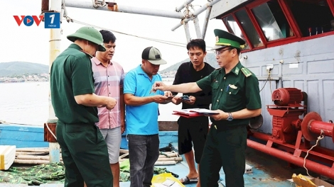 Chống khai thác IUU: tăng cường vai trò quản lý của địa phương