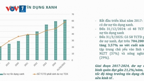 Khơi dòng tín dụng xanh để thúc đẩy tăng trưởng xanh (23/05/2025)
