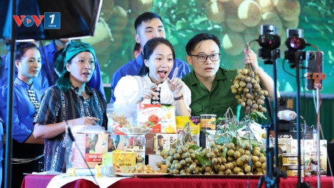 Đẩy mạnh chuyển đổi số trong hợp tác xã (07/05/2025)