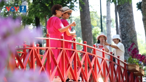 Festival Hoa Lan TP.HCM 2025: Kết nối văn hóa, du lịch với phát triển nông nghiệp đô thị