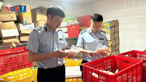 Thái Nguyên: Liên tiếp phát hiện thực phẩm đông lạnh không rõ nguồn gốc xuất xứ