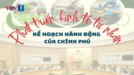 Phát triển kinh tế tư nhân - kế hoạch hành động của Chính phủ