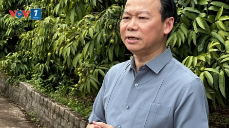 Bộ trưởng Đỗ Đức Duy: Tăng cường năng lực các bên tham gia trong chuỗi giá trị vải thiều