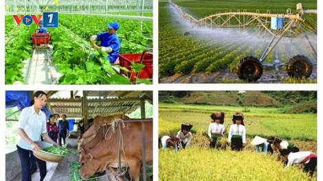 Theo dòng thời sự chiều 23/5/2025