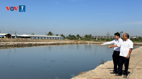 Nông dân Long An thay đổi tư duy để làm giàu