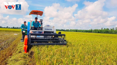 Cơ hội để Việt Nam đa dạng hoá thị trường sản phẩm nông nghiệp toàn cầu