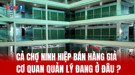 Cả chợ Ninh Hiệp bán hàng giả - Cơ quan quản lý đang ở đâu?