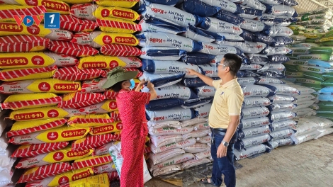Phú Mỹ cung ứng gần nửa triệu tấn phân bón cho vụ Hè thu