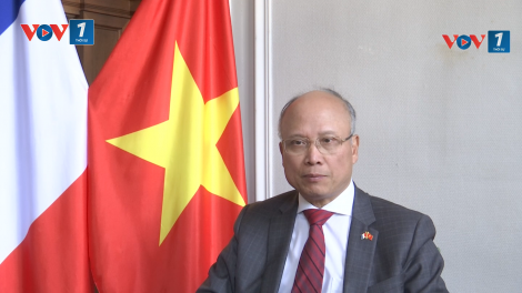 Nhiều yếu tố thuận lợi thúc đẩy sự phát triển của quan hệ Việt Nam - Pháp