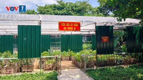 Xanh hóa Trường Sa khát vọng nơi đảo xa (14/5/2025)
