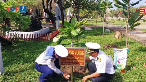Xanh hóa Trường Sa: Khát vọng nơi đảo xa