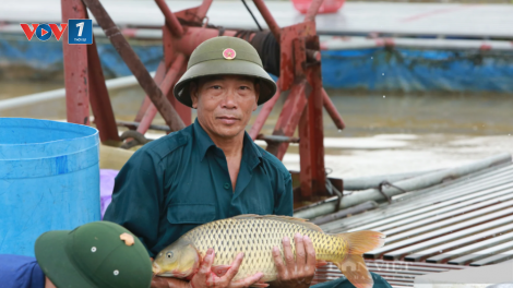Tỷ phú nuôi cá đặc sản trên sông Đuống