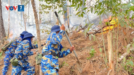 Lữ đoàn 147 tham gia chữa cháy rừng tại TP. Hạ Long, tỉnh Quảng Ninh.
