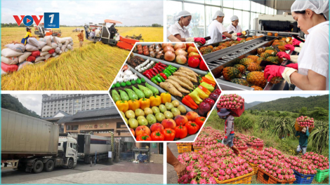 Giải pháp đẩy mạnh xuất khẩu nông sản sang thị trường Trung Quốc (17/05/2025)
