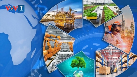 Hoàn thiện và thực thi Pháp luật – Những vấn đề đặt ra từ thực tiễn