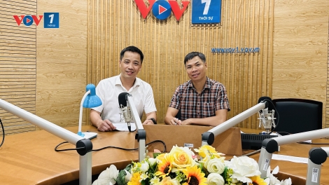 Không hình sự hóa quan hệ kinh tế: bước tiến mới trong cải thiện môi trường đầu tư kinh doanh