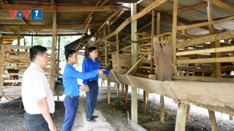 Hiệu quả từ chính sách cho vay vốn đói với thanh niên hoàn thành nghĩa vụ quân sự (Ngày 24/4/2025)