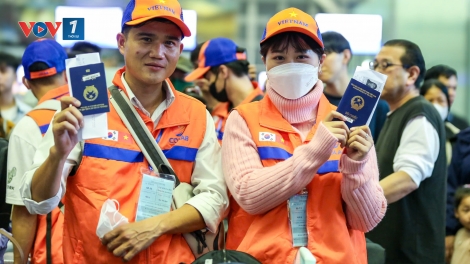 Sáng 5/5 khai mạc Kỳ thi tiếng Hàn năm 2025