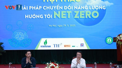 Nhanh chóng chuyển sang các nguồn năng lượng tái tạo hướng tới Net Zero