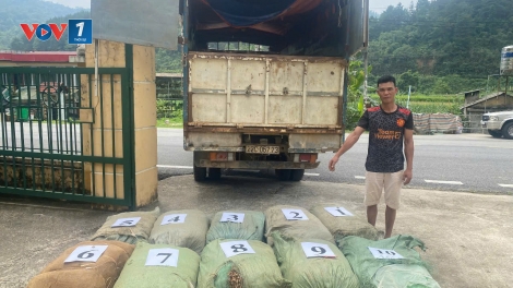 Cao Bằng: Liên tiếp bắt giữ các vụ vận chuyển nguyên liệu thuốc lá không rõ nguồn gốc