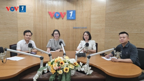 Vì sao trào lưu “Việt Nam is calling” - “Việt Nam vẫy gọi” gây bão?