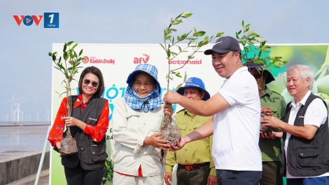 “Vì một Việt Nam xanh”: Trồng cây, phát triển rừng ngập mặn tại Sóc Trăng