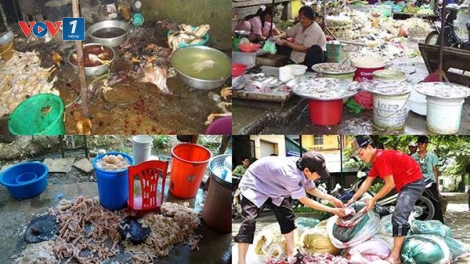 Mất an toàn nông sản thực phẩm - lỗ hổng pháp lý hay thiếu trách nhiệm hậu kiểm (26/06/2025)