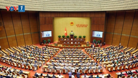 Thời sự 12h 11/6/2025: Sáp nhập tỉnh quyết định lịch sử, tái cấu trúc phát triển địa phương