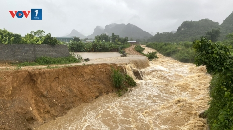 Thời sự 6h 8/6/2025: Mưa lớn diện rộng các tỉnh phía Bắc làm 2 người thương vong