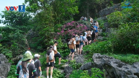 Ươm mầm tình yêu thiên nhiên qua mỗi bước chân khám phá: Trại hè Summer Camp 2025