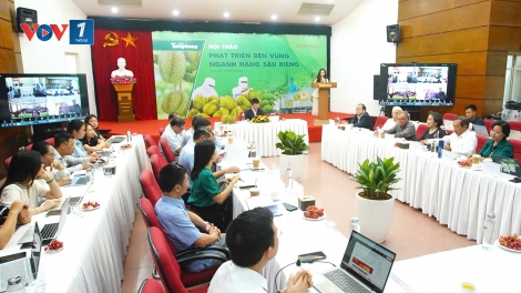 Không quản lý chặt chẽ, ngành sầu riêng sẽ tự làm khó mình