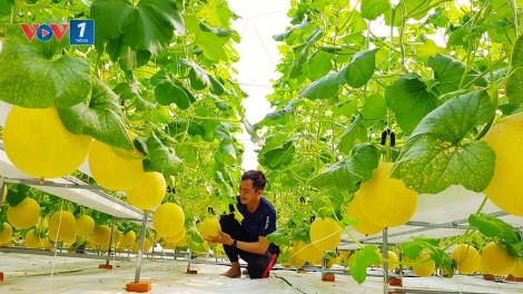 Chuyển đổi số trong phát triển kinh tế nông nghiệp, xây dựng nông thôn (16/06/2025)