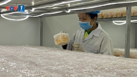 Bà Rịa – Vũng Tàu nỗ lực đưa sản phẩm OCOP đến người tiêu dùng