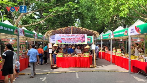 Phiên chợ vải Hưng Yên 2025: Kết nối, lan tỏa giá trị trái vải đến người tiêu dùng