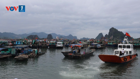 Quảng Ninh chủ động ứng phó với bão số 1