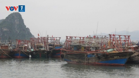 Quảng Ninh: Tạm ngừng cấp phép cho hoạt động và lưu trú trên biển tối và đêm 13/6