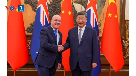 Thủ tướng New Zealand gặp Chủ tịch Trung Quốc Tập Cận Bình