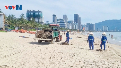 Đà Nẵng thu gom rác tại các bãi biển
