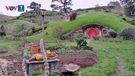 New Zealand: Nguồn thu từ du lịch tăng mạnh