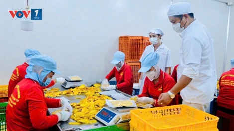 Xúc tiến xuất khẩu, nâng cao năng lực cạnh tranh cho nông sản mùa vụ Việt Nam