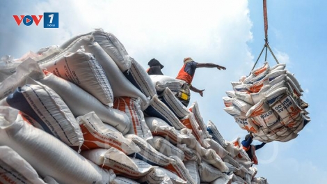 Indonesia: Thao túng chất lượng và giá cả gạo gây thiệt hại hàng tỷ đôla Mỹ cho người tiêu dùng