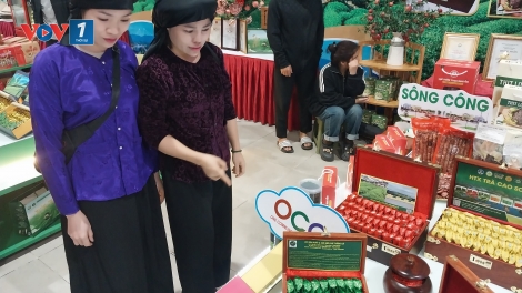 Thái Nguyên: Nghị quyết 57 nâng cao chất lượng cuộc sống người dân