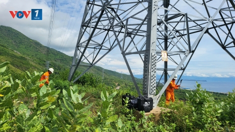 Chống cháy, bảo vệ an toàn lưới điện Quốc gia: Nhiệm vụ quan trọng đảm bảo cấp điện mùa khô của PTC3