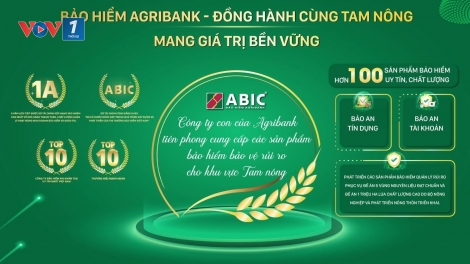 Bảo an tín dụng – “Lá chắn” tài chính giữa những mất mát không lường trước